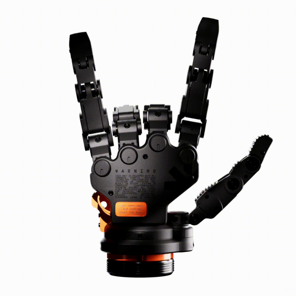 Web/App Design & Development